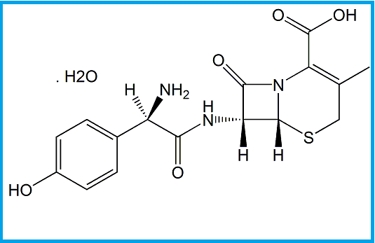 CEFADROXIL MONOHYDRATE 